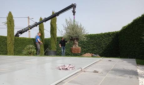 Livraison et transport olivier Renaison