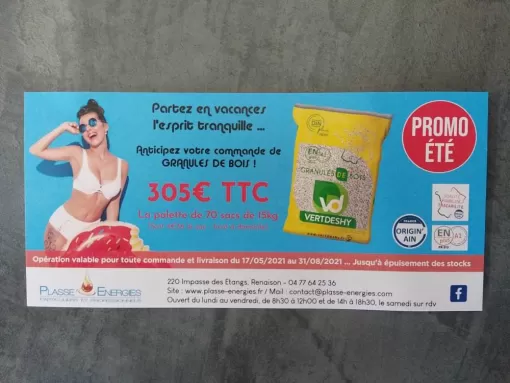 Lancement de la promo été sur les granulés de bois, Renaison, PLASSE ENERGIES