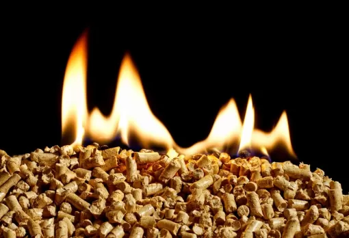 Livraison à domicile de granulés pour pôele bois à Renaison, Renaison, PLASSE ENERGIES