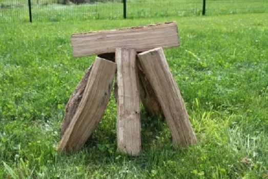 Les bûches de bois premium, Renaison, PLASSE ENERGIES