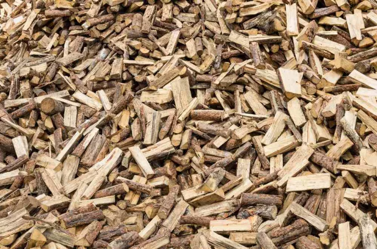 Comment bien choisir son bois ?, Renaison, PLASSE ENERGIES